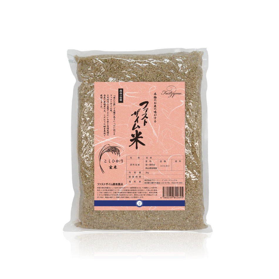 Fastzyme Vegetable Tempeh Soup, 180g x 1 bag
