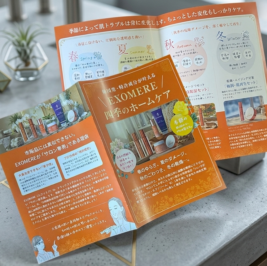 EXOMERE 物販販促パンフレット（2つ折り）10枚セット