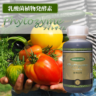 フィトザイム（植物活性）300ml ※飲食物ではございません