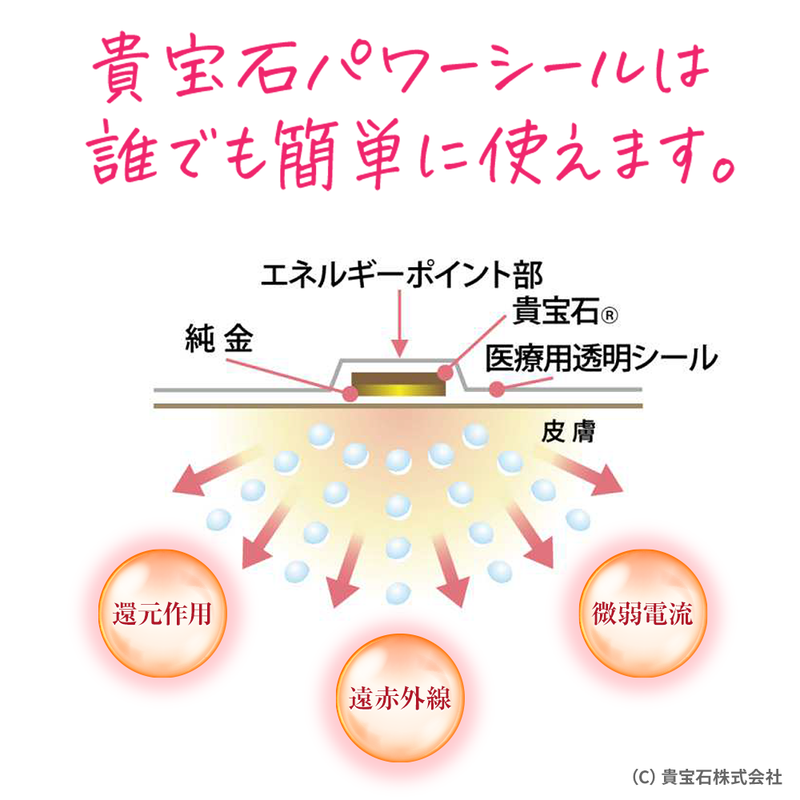 耳つぼの位置を示すリーフレット