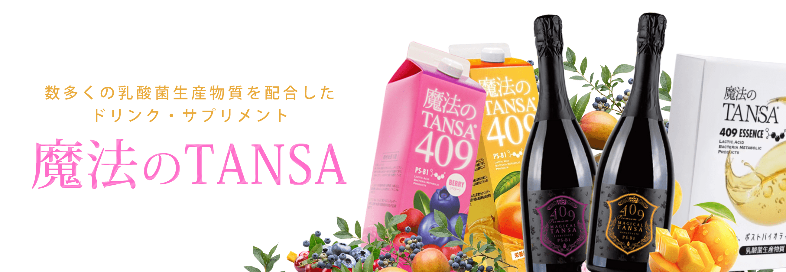 魔法のTANSA – BI PRO ビープロ