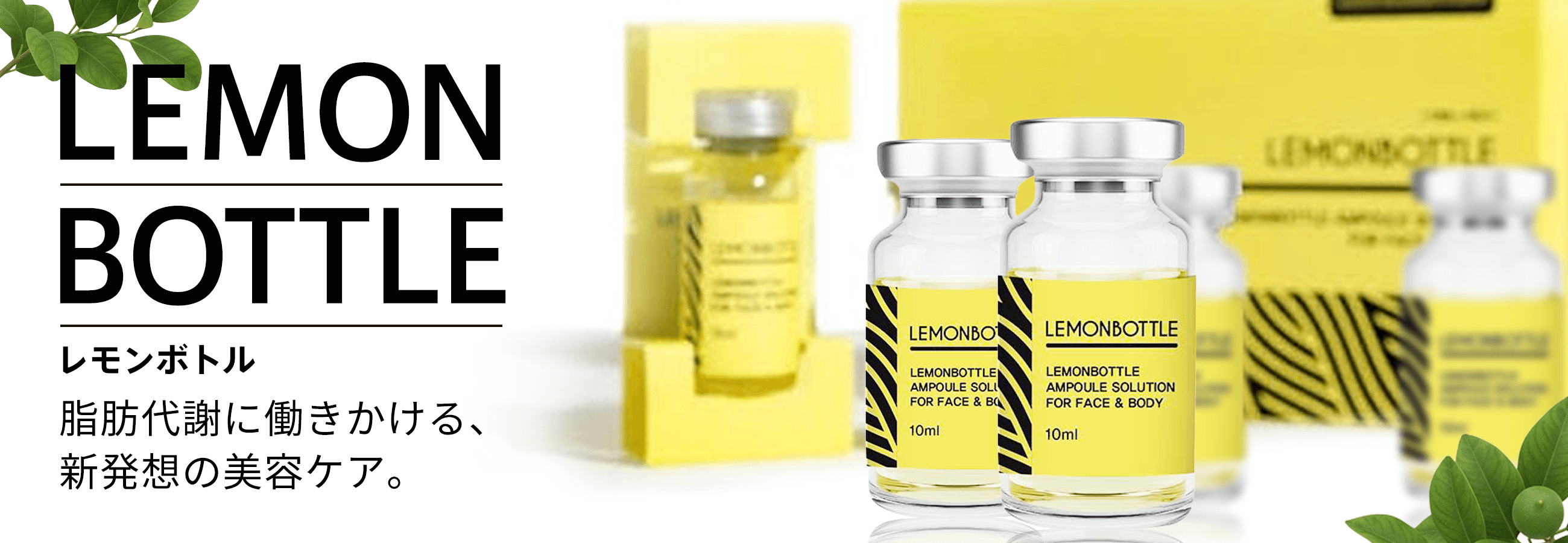 正規卸】レモンボトル仕入れ・卸売|サロン専売の脂肪溶解を業務用価格 正規卸】レモンボトル仕入れ・卸売|サロン専売の脂肪溶解を業務用価格